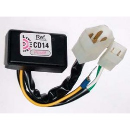 Modulo CDI Sustituto...